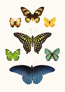 2021-04-27/6e54ac354558d2e62e454fb4b9b0eed5_3eb15b6e587ef98412aea65791fcd074