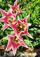 2021-05-07/12778b4638f5be82c18e2014a30f0c53_2dda2dacd6429b20a7892a03aab0c11b