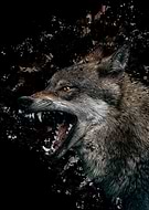 2021-05-08/dc313e0ad8dbe4b57289fa70c33d4683_d756788d31a59ed5948fd14479d0bdce