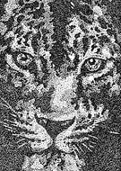 2021-05-11/a9b94de5e9b4c4ac03055298b5fd91cb_61ecc8bf9ca5c14c6943914ec4b12de0