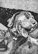 2021-05-11/eca6451024a6eff8020fcbd8b321bdc9_01d2ccb988deb609775ca8ebe9cbbdf4