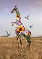 2021-05-12/64fb8dd582df4a44976a153ca3726d3c_7eb8672a34eee65b1fafbdbffa2be4f0