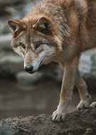 2021-05-13/7eb2731168e500971eb7bc58eb67b00a_e06c259f56d9ffa1773decdfb12d74e1