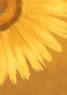 2021-05-17/cf27f83141c5a8f52fb7d8c9da1a4392_16e2e11f8936a62c12ec8491dd065db4