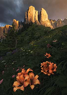 2021-05-18/26b36bb5306f12d202ab50331b93fc4a_88d0b033d643bf4ae7f0f4ac07139553