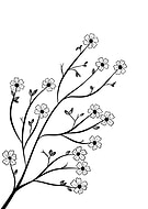 2021-05-21/c2bcf0df0a2a338cc9048a5a2fd26593_6ad1b1cdb974392f469ce1de3b4afed1