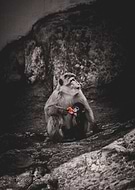 2021-05-23/69504319edd5cc133ed042bd0f901d9e_98fb784977424647fef1ec5389abaa66