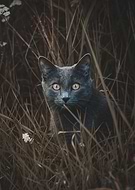 2021-05-23/7e1279125e3855cdba21c7e27040cba0_8f59be59a2728167c817d805415dce7e