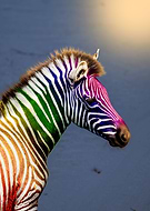 2021-05-24/96d173375e7fe4fc696541cfc7a2a60c_9d0d4f1d5b68d6d0246fb7255fe2577e