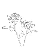 2021-05-24/ee5483f464ac7699fc7820b3145bdd06_f813495b30879db585af780f51000d98