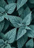 2021-05-25/4aad468db7d67663b44edb106b629500_48c11794d1210680a126140fa56550fa