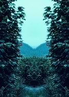 2021-05-26/1ff8dd6d4804728e4fd0b640da390c28_5eab79bad1176381a8c598529b309b17