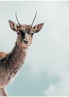 2021-05-31/8cbc74e28fac5ba19551af2408336421_2ec4c67a9c5959bdaa831bbcdf2ad41a