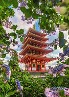 2021-06-04/a70007b648b930190fee6d8ccd24028d_7d8fd93872f5f9051c2231b69751c189