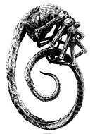 collection-preview-0