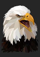 2021-06-15/620f3dc1188634a72a86e4c9ac515703_3d1e163fd35910e969b0e5a8d5c4d1c2