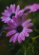 2021-06-17/8d65f78c3dbde460e101845055fee79e_9769df66fcadfcb7ad5dc769fc540750