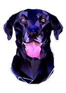 2021-06-18/f91ed1fef7f30a14258bae0ecd4ee5f8_d4b38fd22a2a1c28f76e02bb3f9de9d1