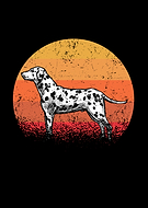 2021-06-19/0b44dc2fdc7f26763b7f0e2da60fc57b_9dc5d1f0cddfa23eecfa9ddd7aee7edf