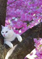 2021-06-20/8ea2cb895b3e4a8529f0814016cf2a25_c4520c935cc153eceedd4d674e0cb016