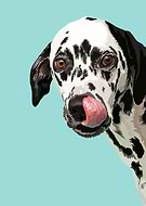 2021-06-21/427635ea2a0632d6b9e41180ed3ae201_b2564d188f39735123a4b0cf27de92ec