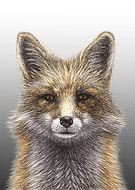 2021-06-24/13e3b854205a9166223cc7dae5327797_b75b5d613308cd0aea5c0ab13bd9741b