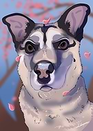 2021-06-28/2d256eedcaba09da74eff75285955c8f_23d07e5c0a542822a55246a35b4be2ab