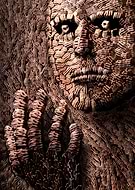 collection-preview-0