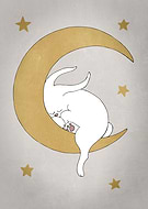 collection-preview-2