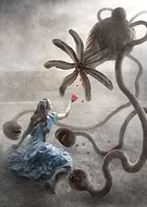 collection-preview-2