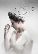 collection-preview-1