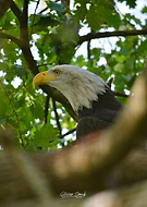 2021-07-30/8098233b97c4e642edad5e12909e7324_d90f5e357978fc1ff9187edca6c9fdc4