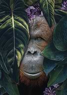 2021-08-02/1f289a7deeb1380d45bb338c8d940d33_702b63e0e0539fbc155a9cb3a3f72847