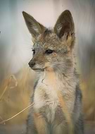 2021-08-06/2a1e333f5137b3676caaeae7195719ba_5676dae2c0c766a306181179ccd928a8