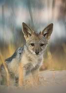 2021-08-06/3ad84ef9a761691a260a59e2d8f47cb5_dc724eddf0faa91de49ba010e98d58a8