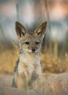 2021-08-06/8ea36036ee4cb8898c9892d3f8d48272_72b4c2e409f6bca5768835e35aa58dea