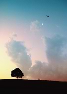 2021-08-12/7240573259ccd9457e8fa82557f8ffb4_498e056dc898dc9a5e0c523965ca1ecc