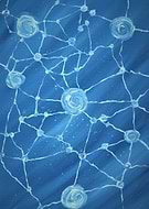 2021-08-13/37f1e7a92fbd0761182e22afc621baba_d331091356fa0dfa1a30f234c047d6ee