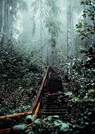 2021-08-24/b0b06e627919762f39a2a8b1d7813df6_ed20f0c38ef8b5de5fc4b64c4cf346c4