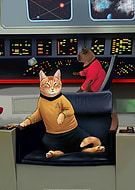 collection-preview-3