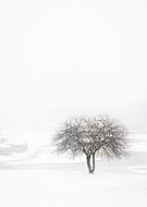 2021-09-02/fde12c8be40b74b7e0f798c47edef7d6_d78775a1e21fd152d8f246e162ba72e8