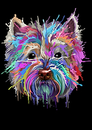 2021-09-03/8d8d0ffdd12db62219454c5fadbd0786_6580151130b9bea756cb82d5bc9d92b2