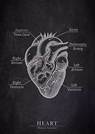 2021-09-06/52b1312e13fc0e98d9ea297597d08cc0_d9fe0ed378341b00fec09925c33feafe