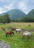 2021-09-06/52b201c3368aab23d7e95b42f268ef74_0e5026fa20920fe7f9d3e815538f2a6c