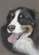 2021-09-07/2906bf93a9af802335ab960dd97034cc_c96f4a14c4f91c8ae9b9453818a5f682