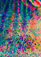 2021-09-07/b66bd913c064de65d6ecbee210c107d5_7346cf23968c3523bfdd5369e90e9b03