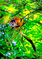 2021-09-08/174ba4a55db287d7ed7a1cdaab36d072_a64969d2d47424e2413635628e09ca02