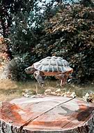 2021-09-09/ff9e8d66bf1a2fdc0653cc13cd2f2a3d_978ab4f8b51da11a42e38eaa48ca72ad