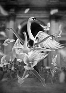 2021-09-11/87aa3eabda0c0584b5fc33cc2f62458f_0a5b3003ac2c9d47761a808748301508