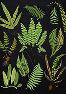 2021-09-11/f439495494dd0aaf1b375428828a6160_81bcf5e03a713f8b8305df285c2e14ae